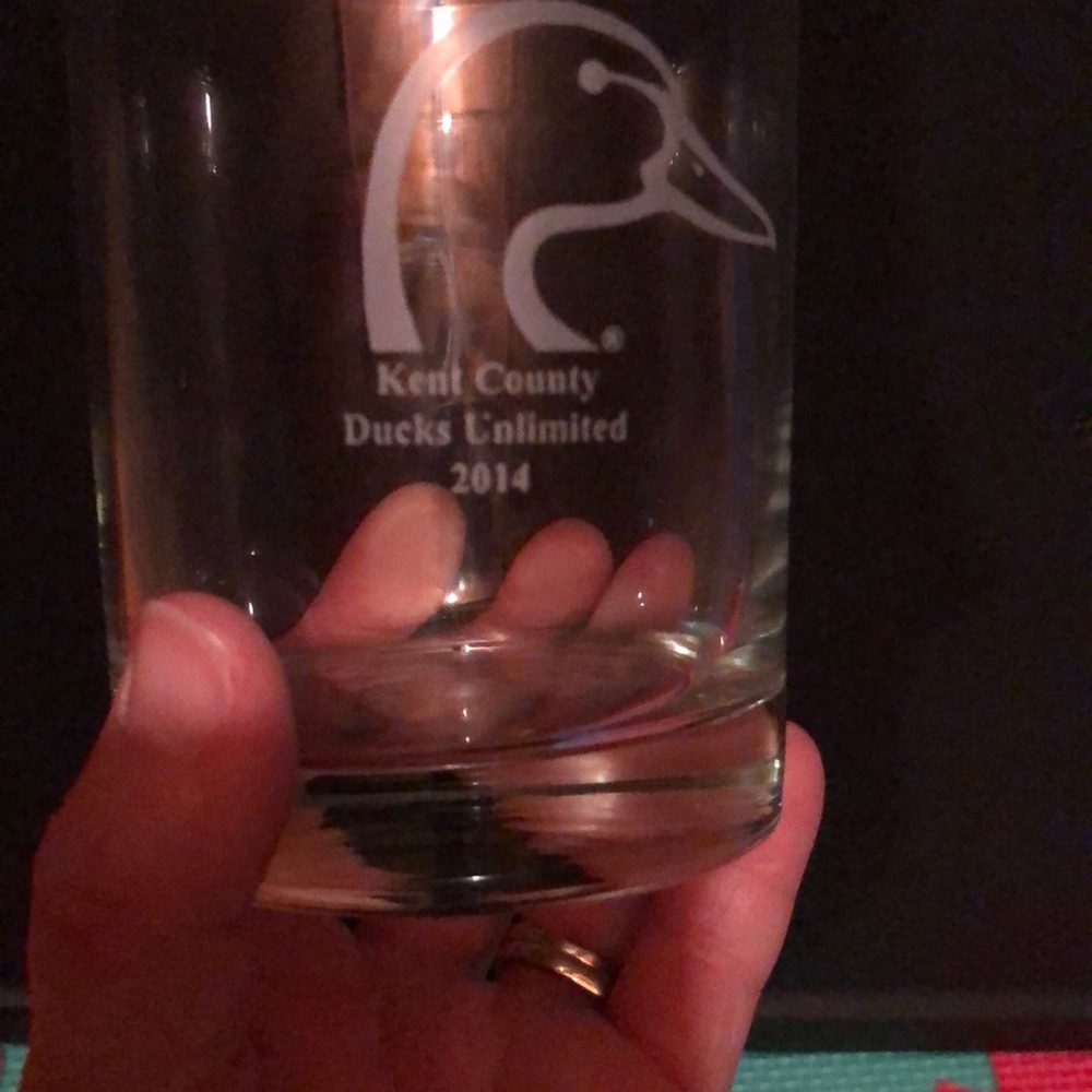 Ducks unlimited glass